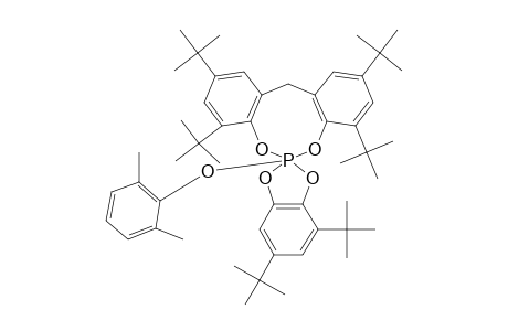 XI(C)(I)