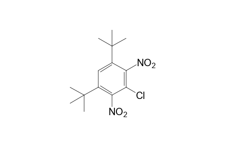 3-chloro-1,5-di-tert-butyl-2,4-dinitrobenzene