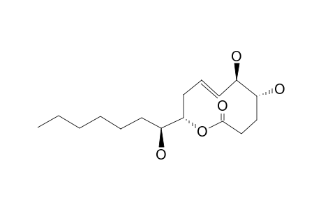 MAJOR-CONFORMER