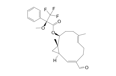 MADOLIN_W-(S)-MTPA-ESTER