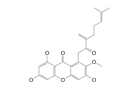 PARVIXANTHONE-E;1,3,6-TRIHYDROXY-7-METHOXY-8-(7-METHYL-3-METHYLENE-2-OXOOCT-6-ENYL)-XANTHEN-9-ONE