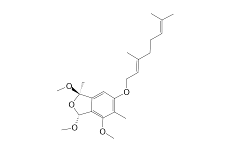 MARISTACHONE_D