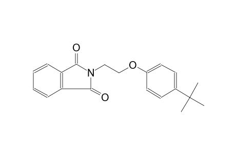 2-[2-(4-tert-butylphenoxy)ethyl]-1H-isoindole-1,3(2H)-dione