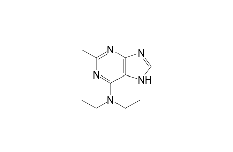 N,N-diethyl-2-methyladenine