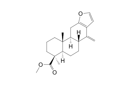 #3;BENTHAMININ-2;4,11B-DIMETHYL-7-METHYLENE-1,2,3,4,4A,5,6,6A,7,11,11A,11B-DODECAHYDRO-10-OXA-CYCLOPENTAL-[B]-PHENANTHRENE-4-CARBOXYLIC-ACID-METHYESTER