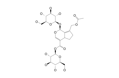 HOOKERIOSIDE