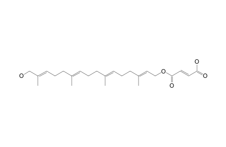 BOLETININ_F