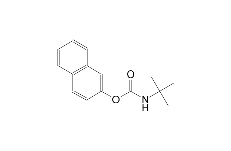 2-naphthyl tert-butylcarbamate