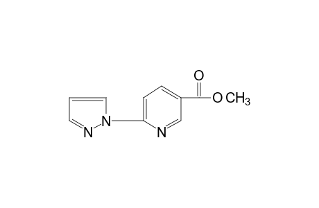 6-(PYRAZOL-1-YL)NICOTINIC ACID, METHYL ESTER