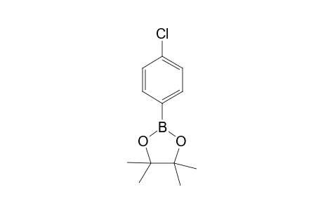 2-(4-Chlorophenyl)-4,4,5,5-tetramethyl-1,3,2-dioxaborolane