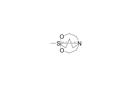 1-METHYL-2-CARBASILATRANE