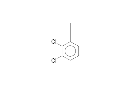 1-Tert-butyl-2,3-bis(chloranyl)benzene