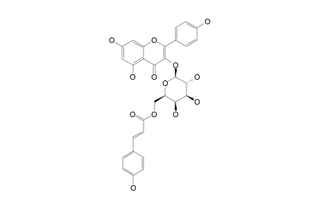 6''-O-PARA-HYDROXY-CINNAMOYL-BETA-D-GALACTOPYRANOSYL-KAEMPFEROL