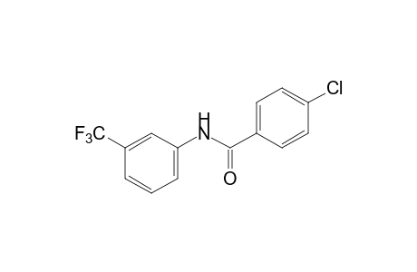 4-CHLORO-alpha,alpha,alpha-TRIFLUORO-m-BENZOTOLUIDIDE