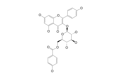 RUGOSAFLAVONOID_C