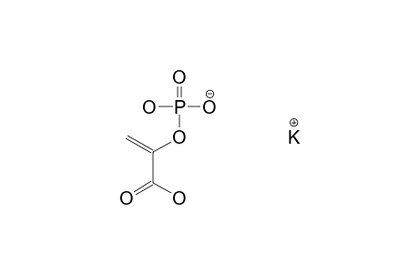 Phospho(enol)pyruvic acid monopotassium salt