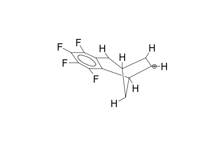 3,4-(TETRAFLUOROBENZO)BICYCLO[3.2.1]OCTEN-6-ONIUM CATION