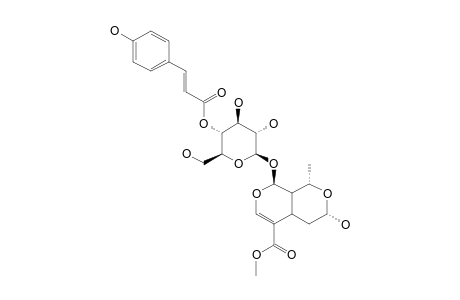 4'-O-TRANS-PARA-COUMAROYL-7-ALPHA-MORRONISIDE