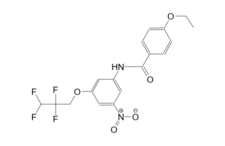 4-ethoxy-N-[3-nitro-5-(2,2,3,3-tetrafluoropropoxy)phenyl]benzamide