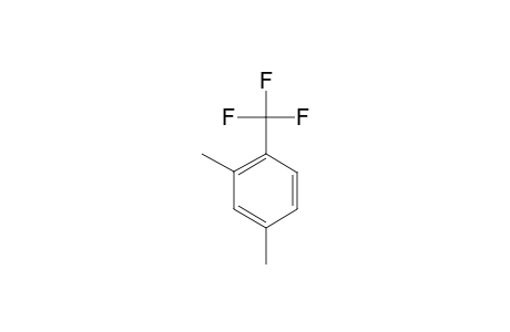 2,4-DIMETHYL-BENZOTRIFLUORIDE