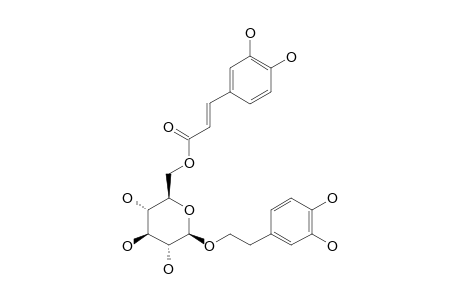 2-(3,4-DIHYDROXYPHENYL)-ETHYL-(6-O-CAFFEOYL)-BETA-D-GLUCOPYRANOSIDE