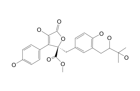 BUTYROLACTONE-VI