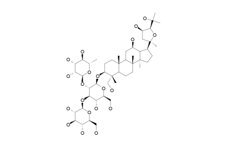 NEOALSOSIDE-C2