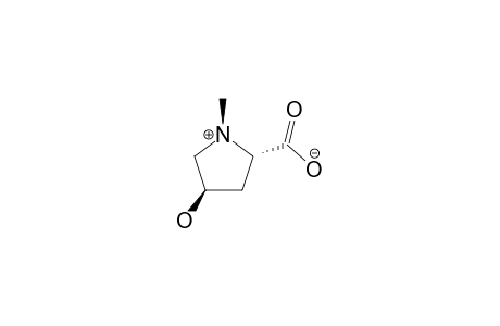 N-METHYL-TRANS-4-HYDROXY-L-PROLINE