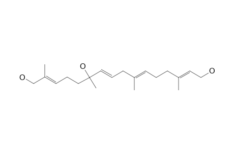 BOLETININ_A