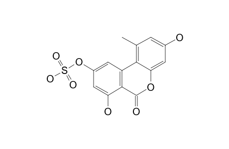 ALTERNARIOL_5-O-SULFATE