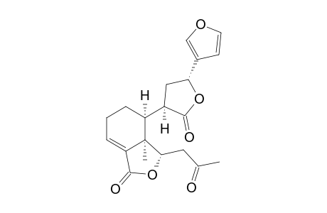 CEPHALOZIELLIN_E