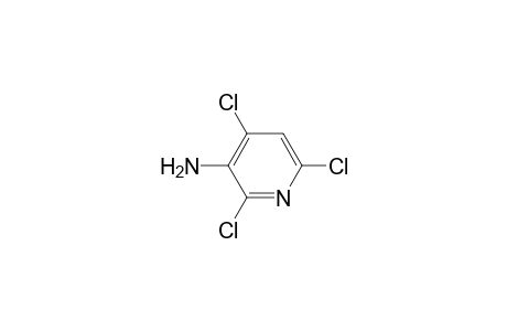 (2,4,6-trichloro-3-pyridyl)amine