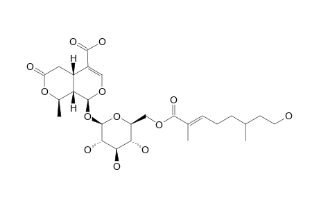 SYRVEOSIDE-A;6'-O-(6,7-DIHYDRO-FOLIAMENTHOYL)-8-EPI-KINGISIDIC-ACID