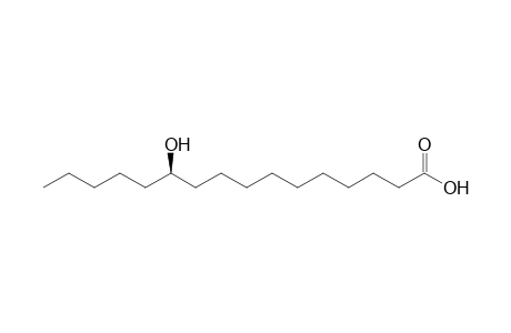 Jalapinolic acid