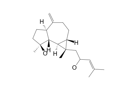 CNEORUBIN-B