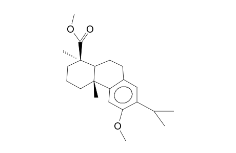 12-METHOXY-8,11,13-TRIENE-19-DEHYDROABIETIC ACID METHYL ESTER