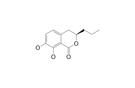 PHOMOLACTONE-C