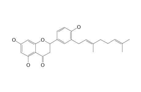 MACARANGAFLAVANONE-A;3'-GERANYL-4',5,7-TRIHYDROXYFLAVANONE