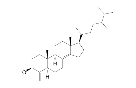 Conicasterol