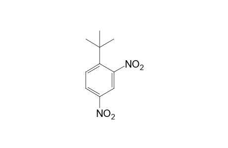 1-tert-BUTYL-2,4-DINITROBENZENE