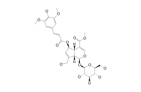 6-O-SINAPOYL-SCANDOSIDE-METHYLESTER