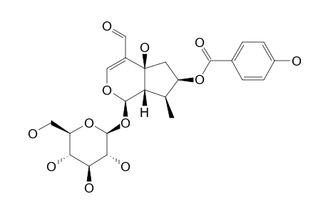 7-O-PARA-HYDROXYBENZOYL-TECOMOSIDE