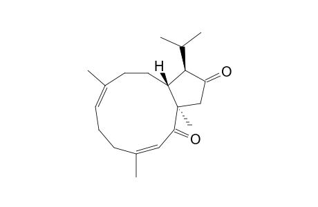 Edudione