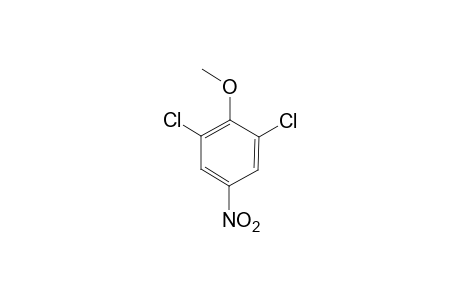 2,6-Dichloro-4-nitroanisole