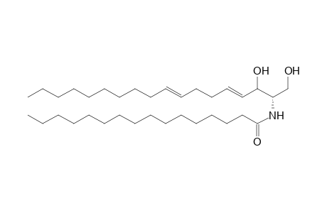 Ceramide 1