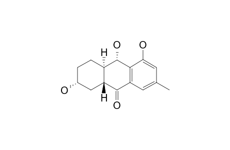 DENDRYOL-E