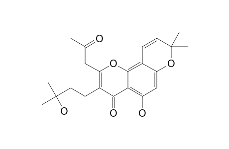 ARTORIGIDUSIN