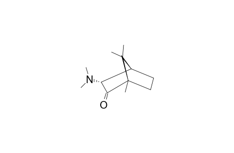 ENDO-3-DIMETHYLAMINOCAMPHOR