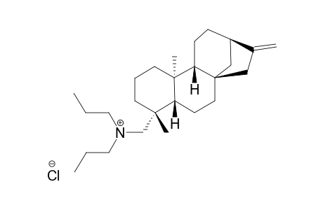 ENT-KAUR-16-EN-19-N,N-DI-N-PROPYLAMMONIUM-CHLORIDE