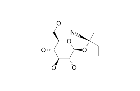 LOTAUSTRALIN